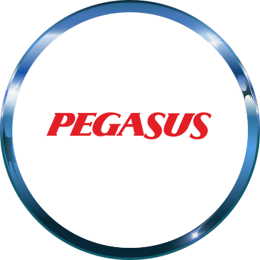 Youth Awards Winner - Pegasus Airlines