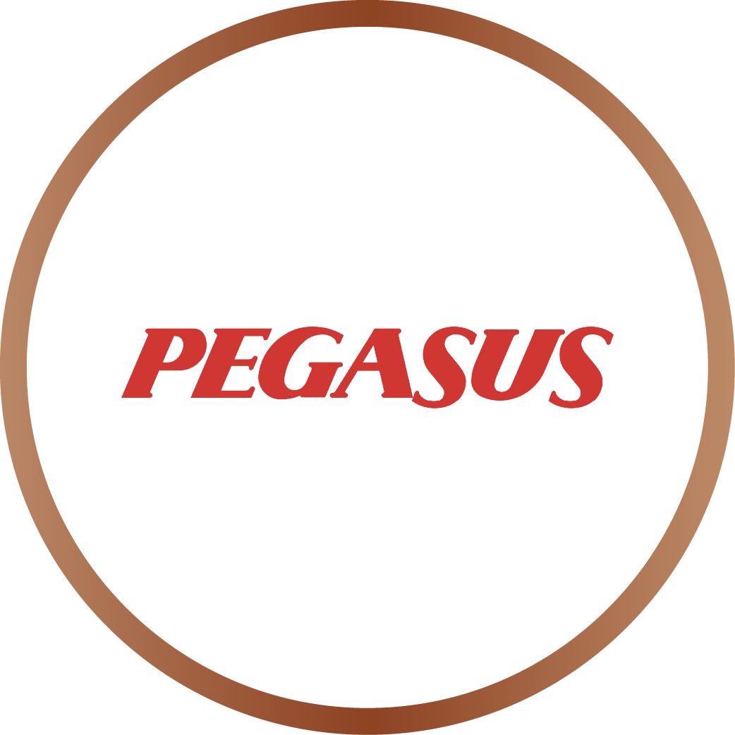 Youth Awards 2025 Winner - Pegasus Airlines