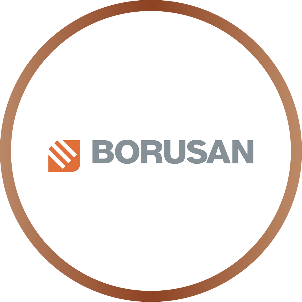 Youth Awards 2025 Winner - Borusan Holding