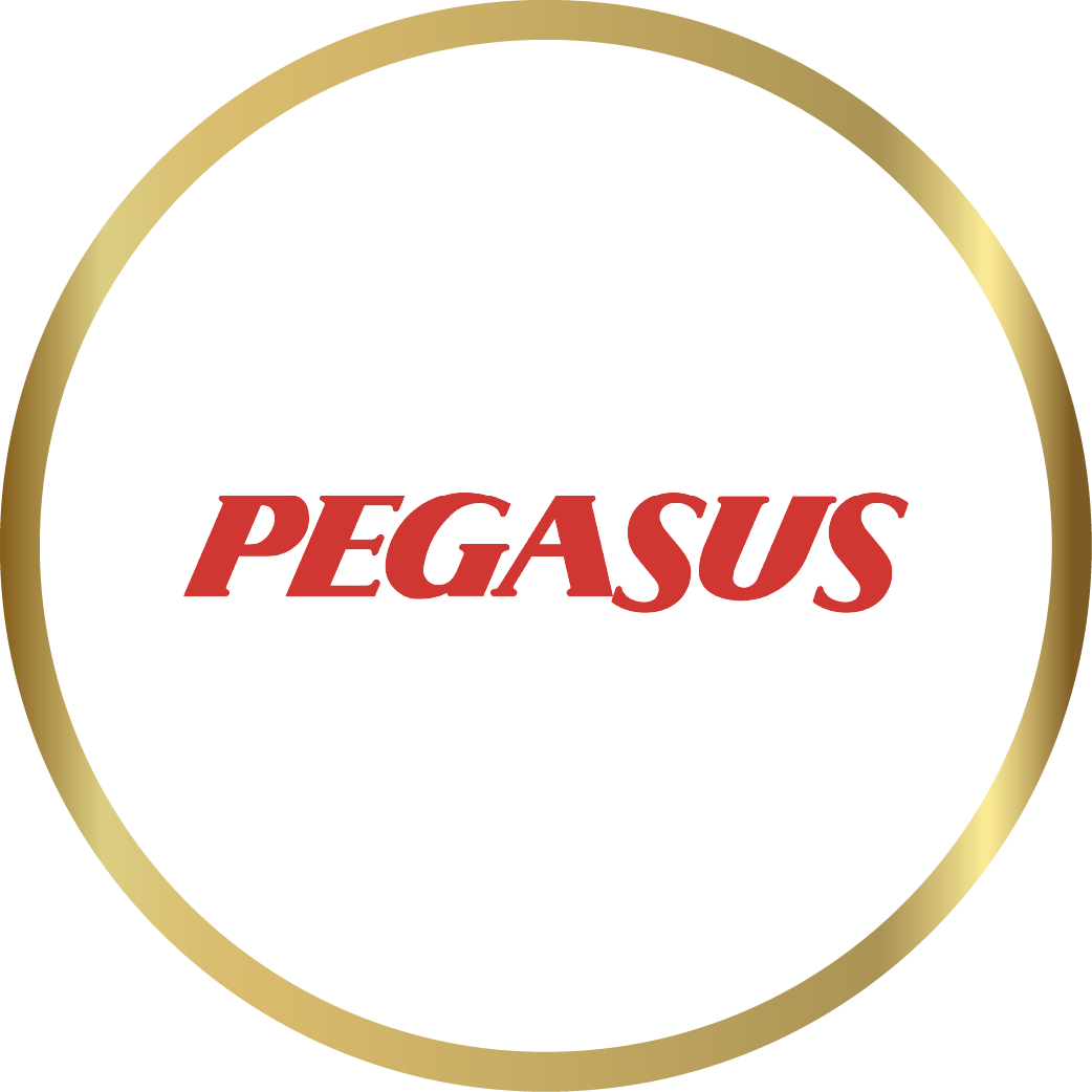 Youth Awards 2025 Winner - Pegasus Airlines
